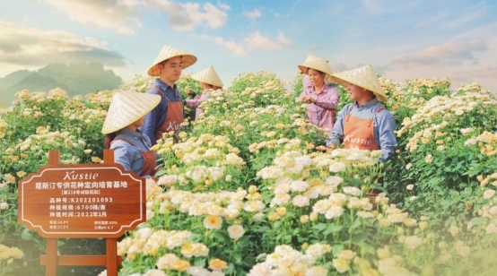 汀花瓣沐浴露连续三年全球销量第一AG真人百家乐市场地位证明：蔻斯(图2)