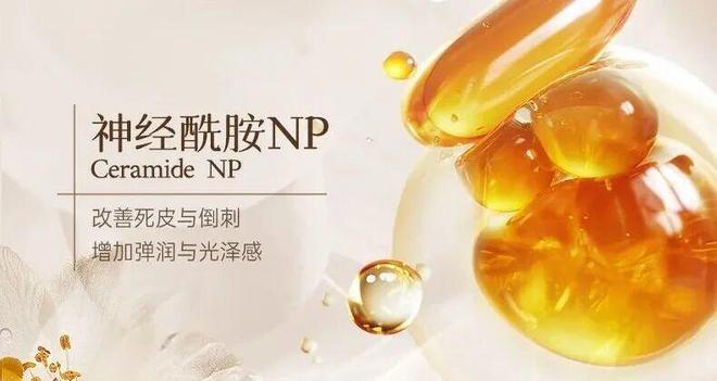 不涂身体乳身体会有多大差别？AG真人国际坚持涂 vs(图4)